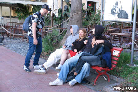 Schopenhauer incontra la gioventù (reprise)