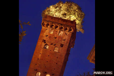 La torre Guinigi ti vede. E giudica!