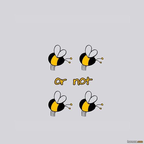 2 bee or not 2 bee