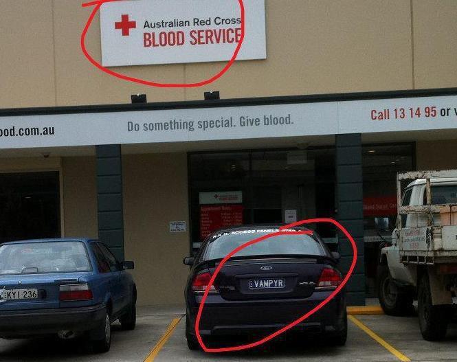 Vampyr blood service