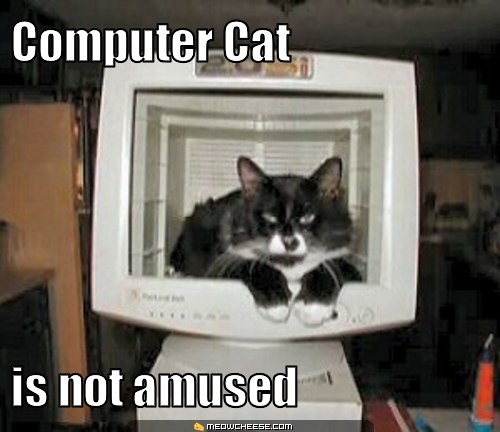 Computer cat is not amused