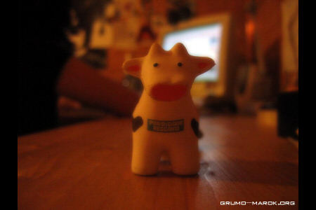Mucca nature
