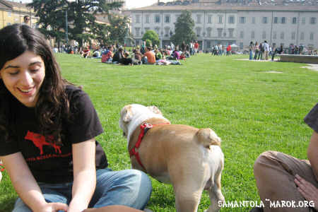 Formy meets Ringhio