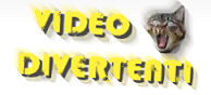 Video simpatici