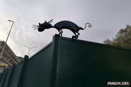 Non dire gatto...