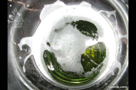 La birra verde - reprise