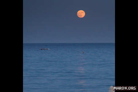 Non voglio mica la luna!