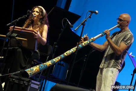Shruti box vs didgeridoo